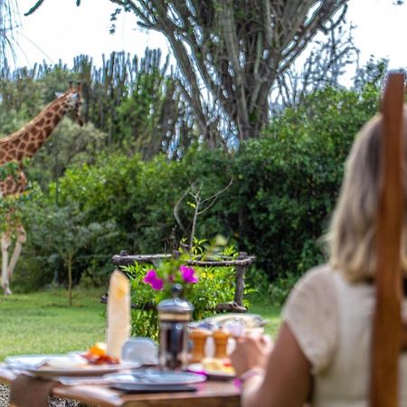 Mbweha Camp Lake Nakuru Elmenteita Zewnętrze zdjęcie