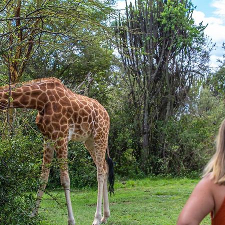 Mbweha Camp Lake Nakuru Elmenteita Zewnętrze zdjęcie