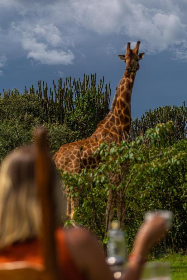Mbweha Camp Lake Nakuru Elmenteita Zewnętrze zdjęcie