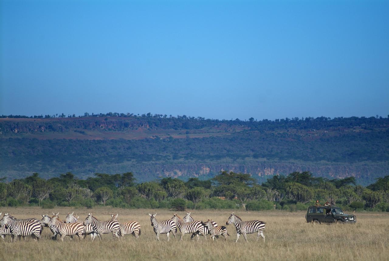 Mbweha Camp Lake Nakuru Elmenteita Zewnętrze zdjęcie