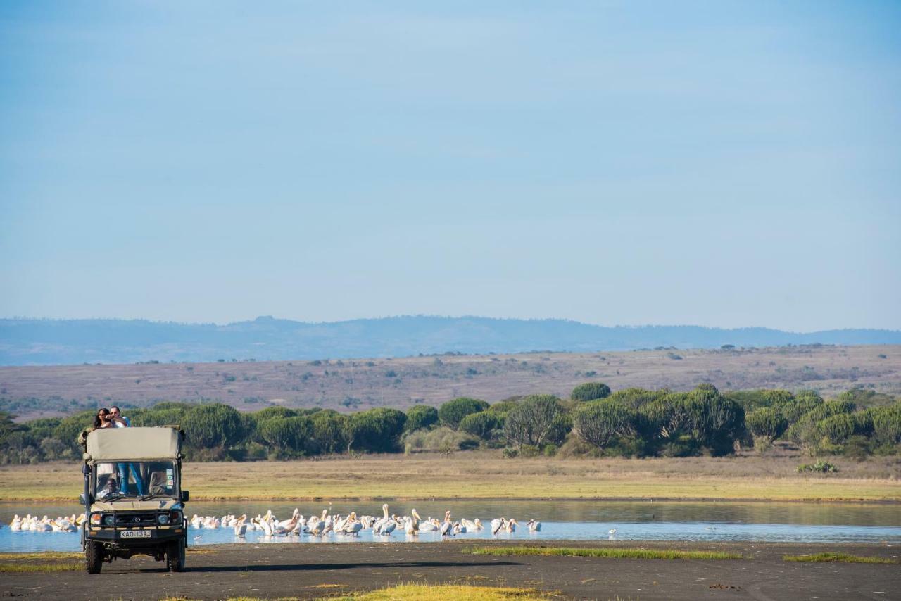 Mbweha Camp Lake Nakuru Elmenteita Zewnętrze zdjęcie